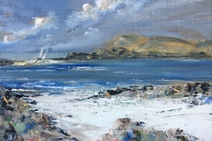 looking-out-from-Iona