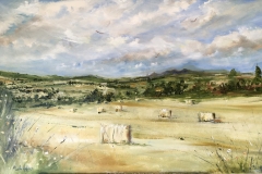 looking-west-from-vlack-isle